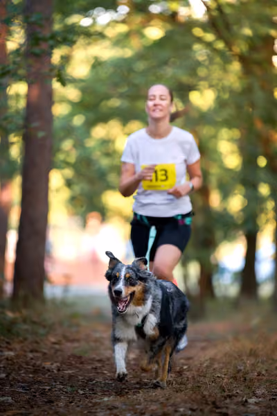 Libová Jízda 2026 💚 Autumn — Neděle – CC