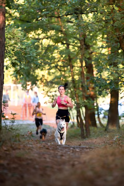 Libová Jízda 2026 💚 Autumn — Neděle – CC
