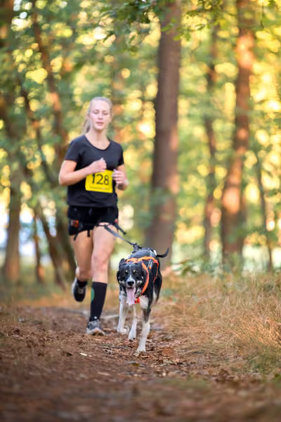 Libová Jízda 2026 💚 Autumn — Neděle – CC