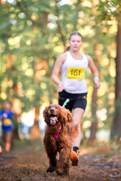 Libová Jízda 2026 💚 Autumn — Neděle – CC