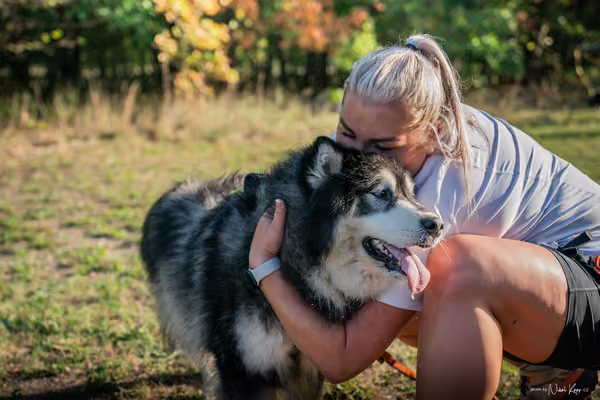 Libová Jízda 2026 💚 Autumn — Neděle – Cílovky