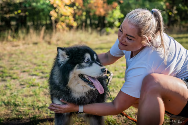 Libová Jízda 2026 💚 Autumn — Neděle – Cílovky