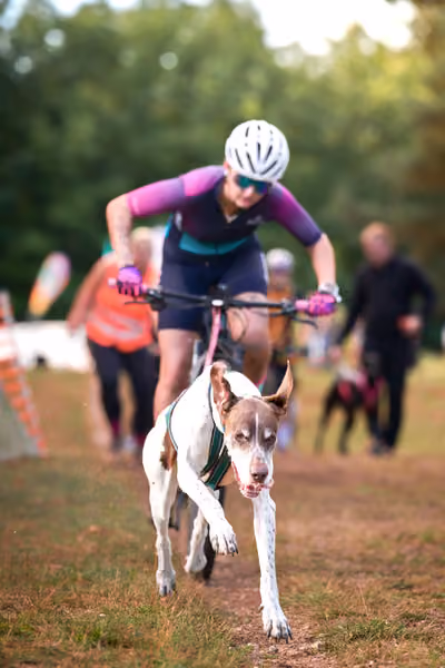 Libová Jízda 2026 💚 Autumn — Neděle – Štafety