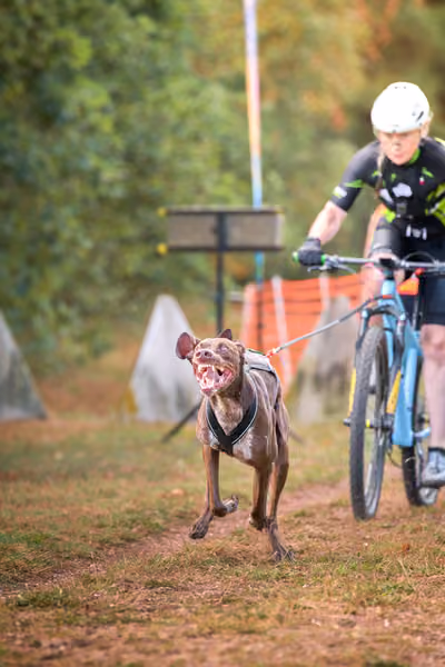 Libová Jízda 2026 💚 Autumn — Neděle – Štafety