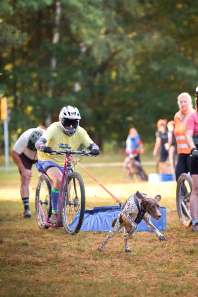 Libová Jízda 2026 💚 Autumn — Neděle – Štafety