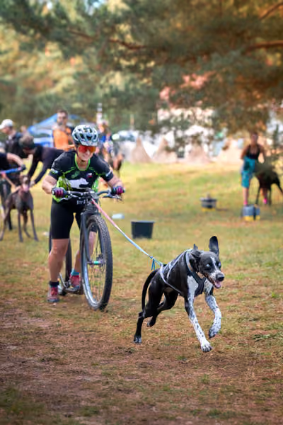 Libová Jízda 2026 💚 Autumn — Neděle – Štafety
