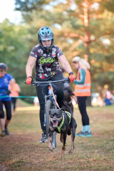Libová Jízda 2026 💚 Autumn — Neděle – Štafety