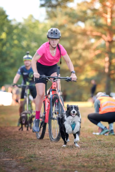 Libová Jízda 2026 💚 Autumn — Neděle – Štafety