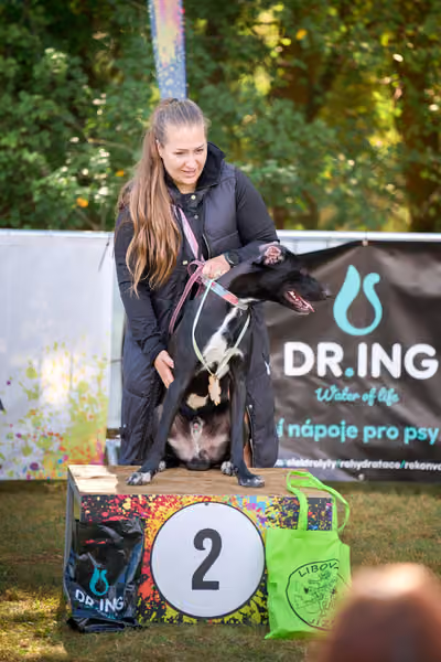 Libová Jízda 2026 💚 Autumn — Neděle – Vyhlášení