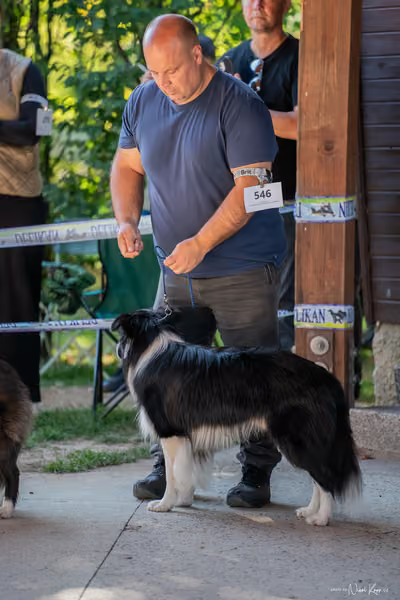 Krajská Hubertská výstava všech plemen – Senior handling