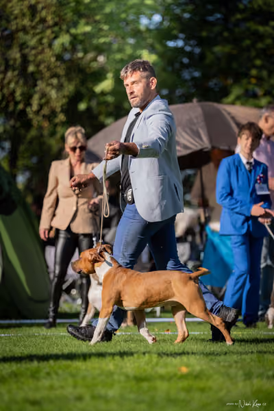 Krajská Hubertská výstava všech plemen – KRUH 2