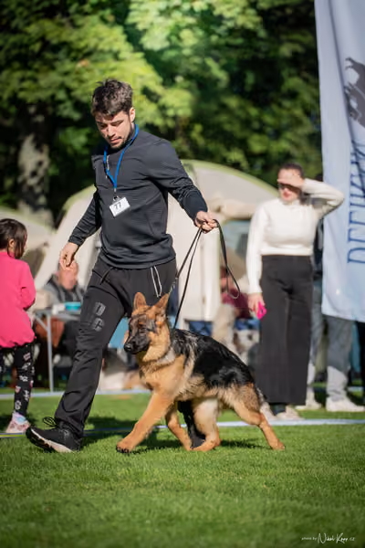 Krajská Hubertská výstava všech plemen – KRUH 4