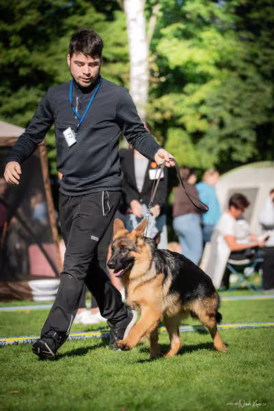 Krajská Hubertská výstava všech plemen – KRUH 4
