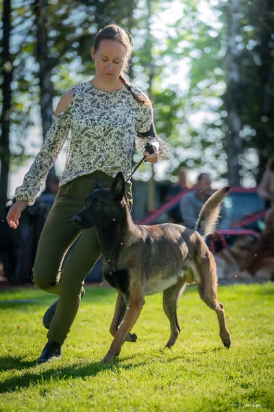 Krajská Hubertská výstava všech plemen – KRUH 4