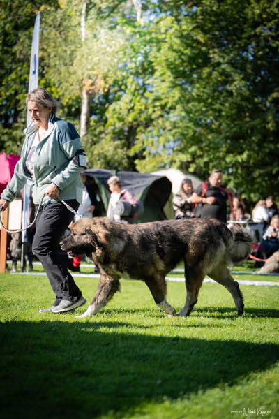 Krajská Hubertská výstava všech plemen – KRUH 4