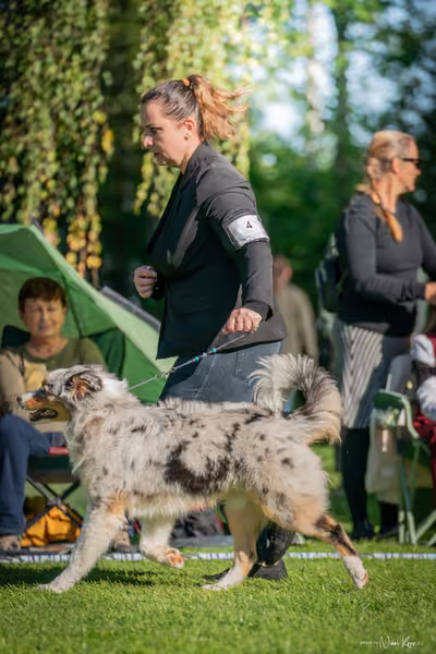 Krajská Hubertská výstava všech plemen – KRUH 5