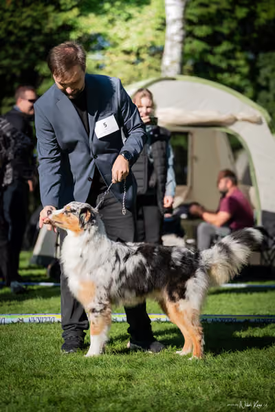 Krajská Hubertská výstava všech plemen – KRUH 5