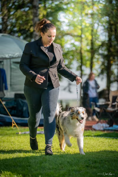 Krajská Hubertská výstava všech plemen – KRUH 5