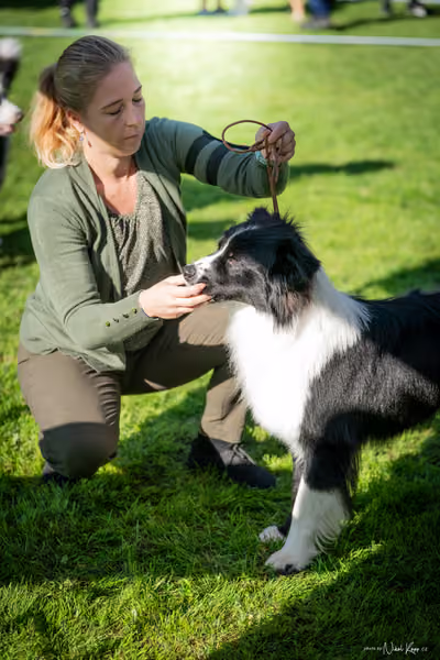 Krajská Hubertská výstava všech plemen – KRUH 5