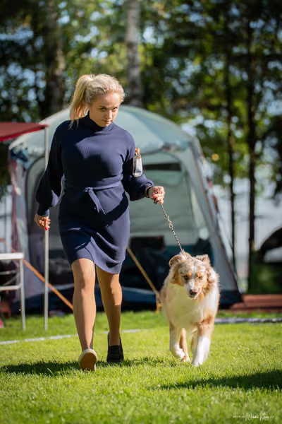 Krajská Hubertská výstava všech plemen – KRUH 5
