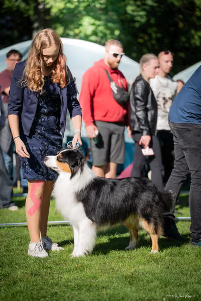 Krajská Hubertská výstava všech plemen – KRUH 5