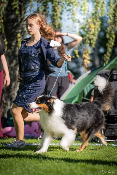 Krajská Hubertská výstava všech plemen – KRUH 5