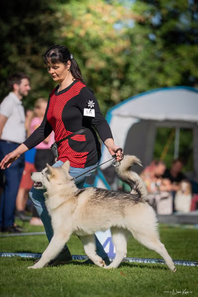 Krajská Hubertská výstava všech plemen – KRUH 4