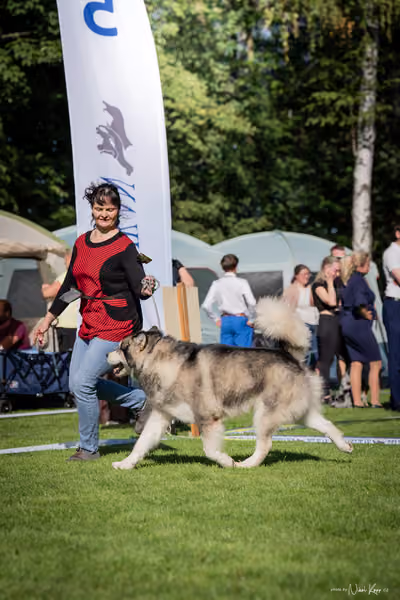 Krajská Hubertská výstava všech plemen – KRUH 4