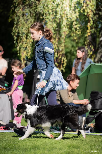 Krajská Hubertská výstava všech plemen – KRUH 5