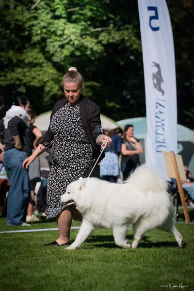 Krajská Hubertská výstava všech plemen – KRUH 4
