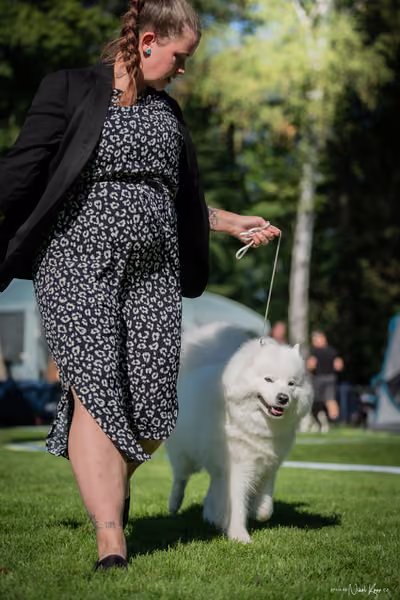 Krajská Hubertská výstava všech plemen – KRUH 4