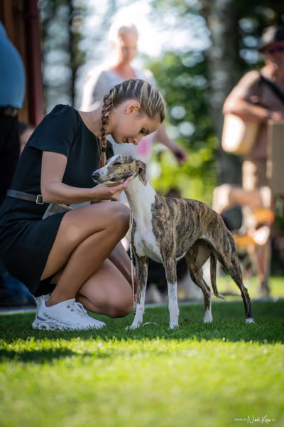 Krajská Hubertská výstava všech plemen – KRUH 1