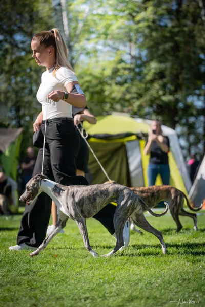 Krajská Hubertská výstava všech plemen – KRUH 1