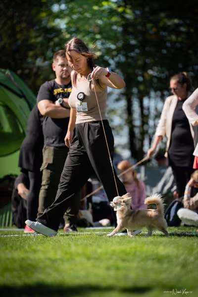 Krajská Hubertská výstava všech plemen – KRUH 2