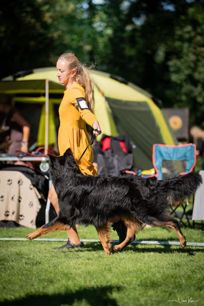 Krajská Hubertská výstava všech plemen – KRUH 5