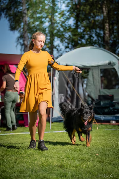 Krajská Hubertská výstava všech plemen – KRUH 5