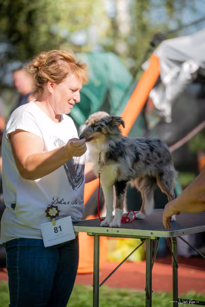 Krajská Hubertská výstava všech plemen – KRUH 5