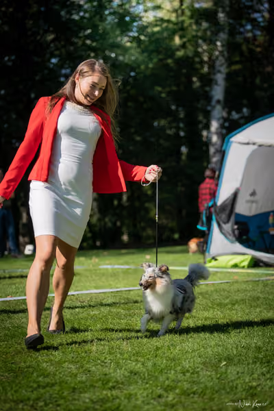 Krajská Hubertská výstava všech plemen – KRUH 5
