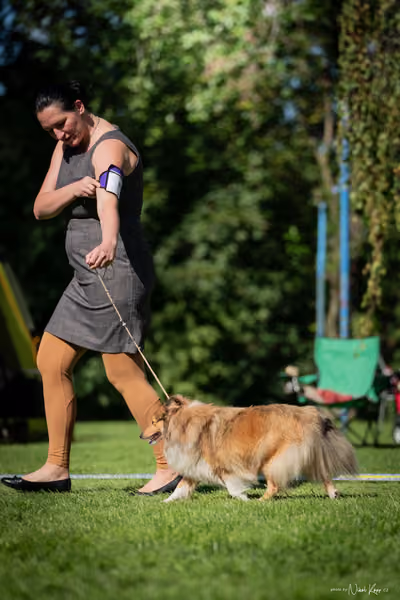 Krajská Hubertská výstava všech plemen – KRUH 5