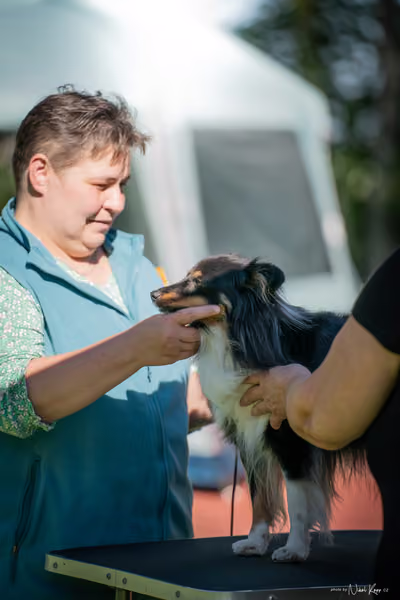 Krajská Hubertská výstava všech plemen – KRUH 5