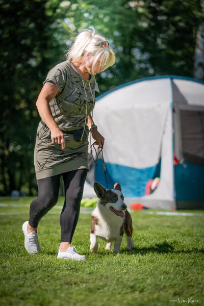 Krajská Hubertská výstava všech plemen – KRUH 5