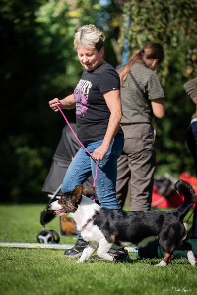 Krajská Hubertská výstava všech plemen – KRUH 5