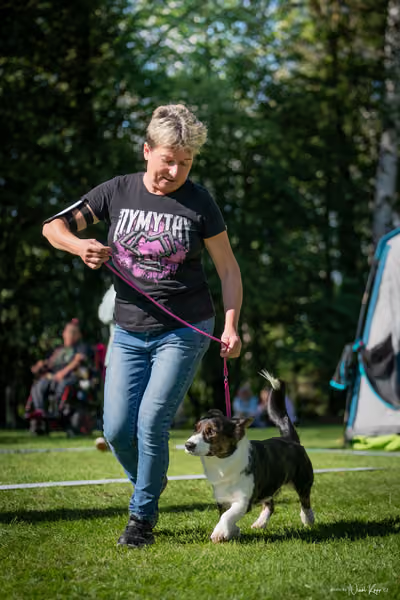 Krajská Hubertská výstava všech plemen – KRUH 5