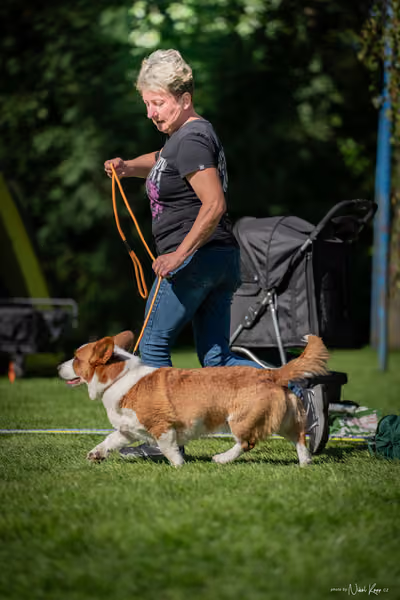 Krajská Hubertská výstava všech plemen – KRUH 5