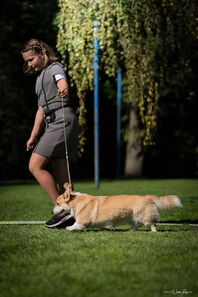 Krajská Hubertská výstava všech plemen – KRUH 5