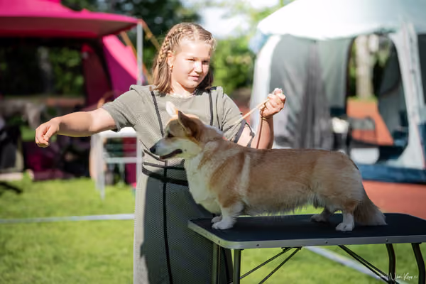 Krajská Hubertská výstava všech plemen – KRUH 5