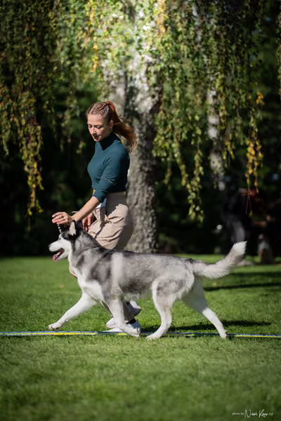 Krajská Hubertská výstava všech plemen – KRUH 5