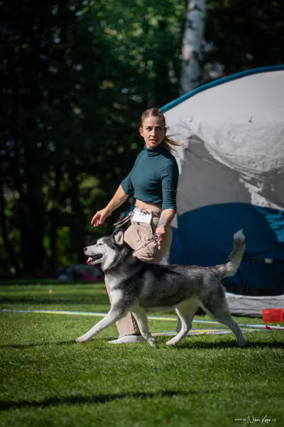 Krajská Hubertská výstava všech plemen – KRUH 5