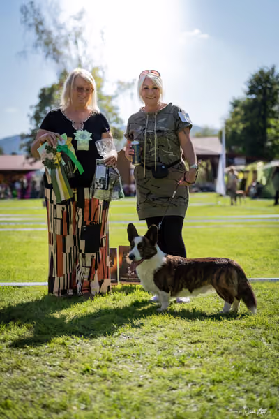 Krajská Hubertská výstava všech plemen – KRUH 5