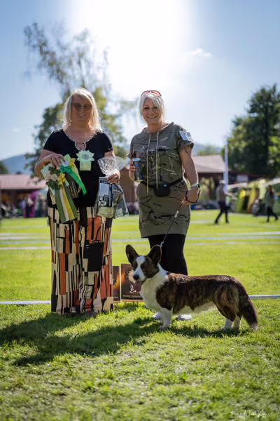 Krajská Hubertská výstava všech plemen – KRUH 5